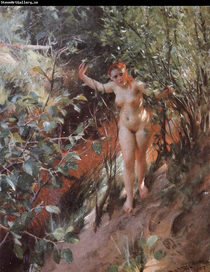 Anders Zorn Red sand